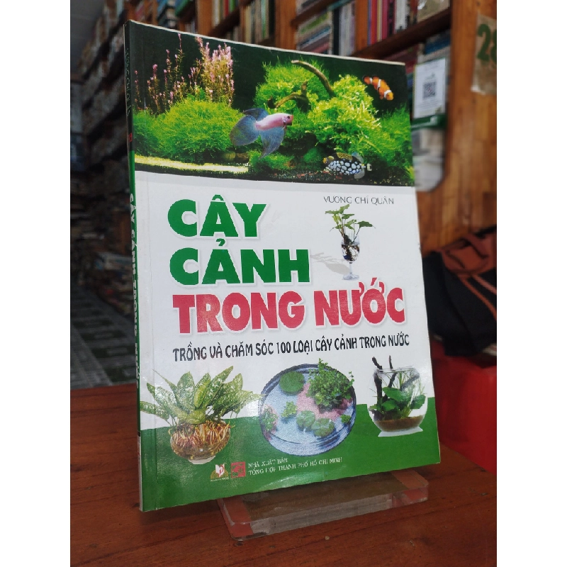 Cây cảnh trong nước: trồng và chăm sóc 100 loại cây cảnh trong nước 193120
