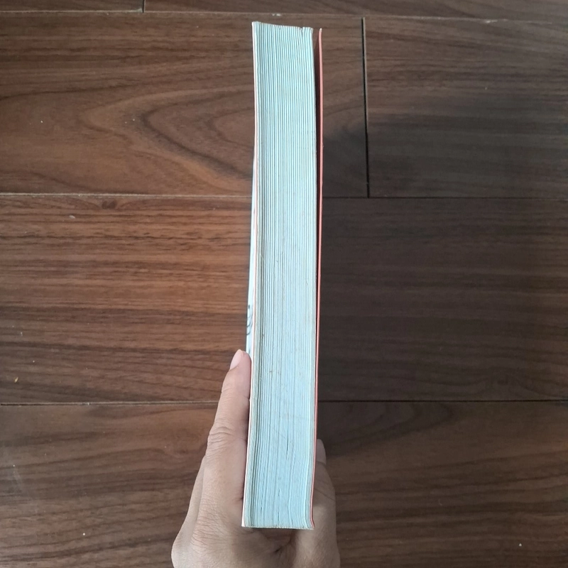 Bốn năm phấn hồng 508634
