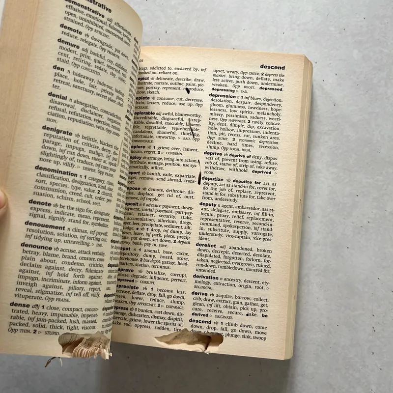 Dictionary Synonyms and Antonyms 560475