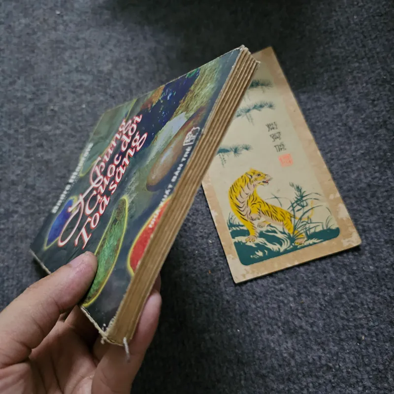 Những cuộc đời tỏa sáng 734012