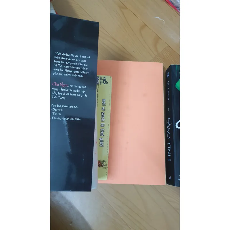 ĐẠO TÌNH tiểu thuyết  747540