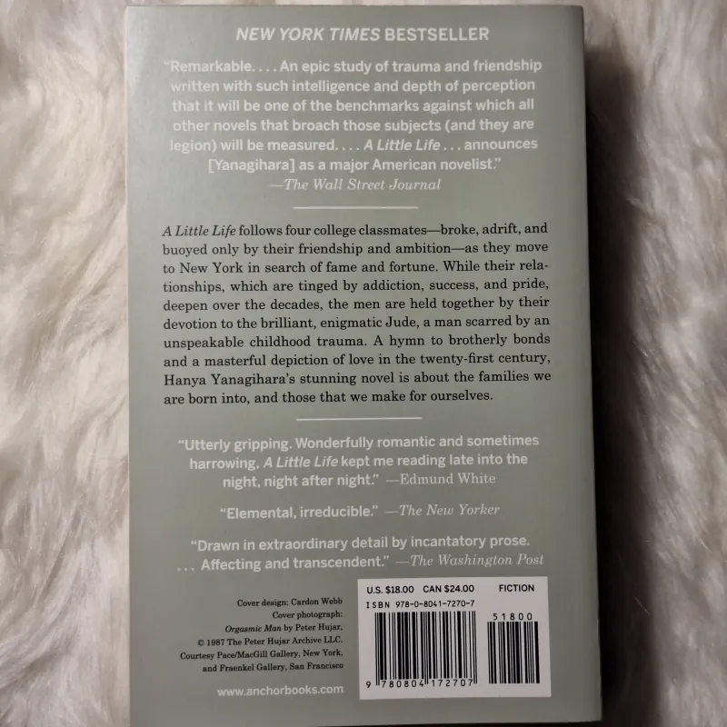 Hanya Yanagihara - A Litte Life 957128