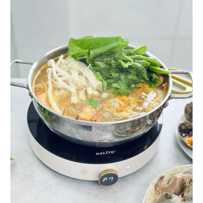 Bếp từ đơn Kalite Power S8 745783