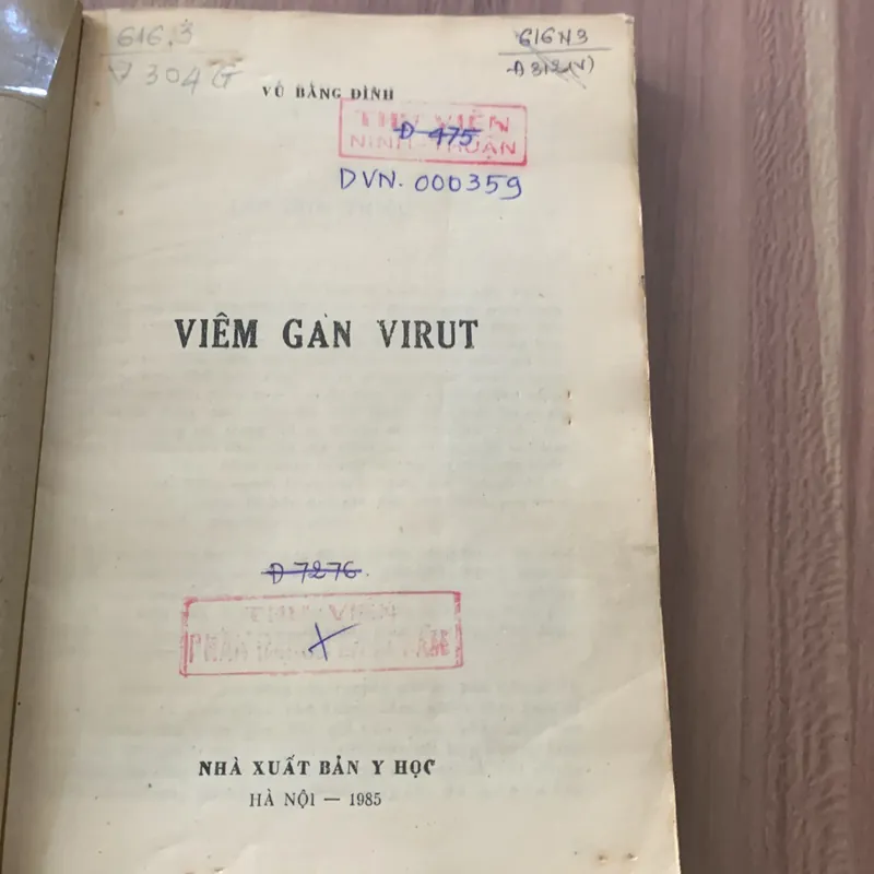 Viêm gan vi rút, Vũ Bằng Đình  622275