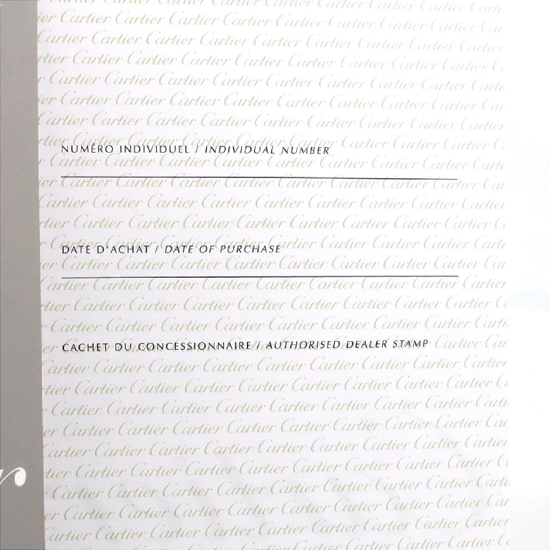 Cartier Santos 100MM W20122U2 SS tự động - Hàng hiệu chính hãng 874220