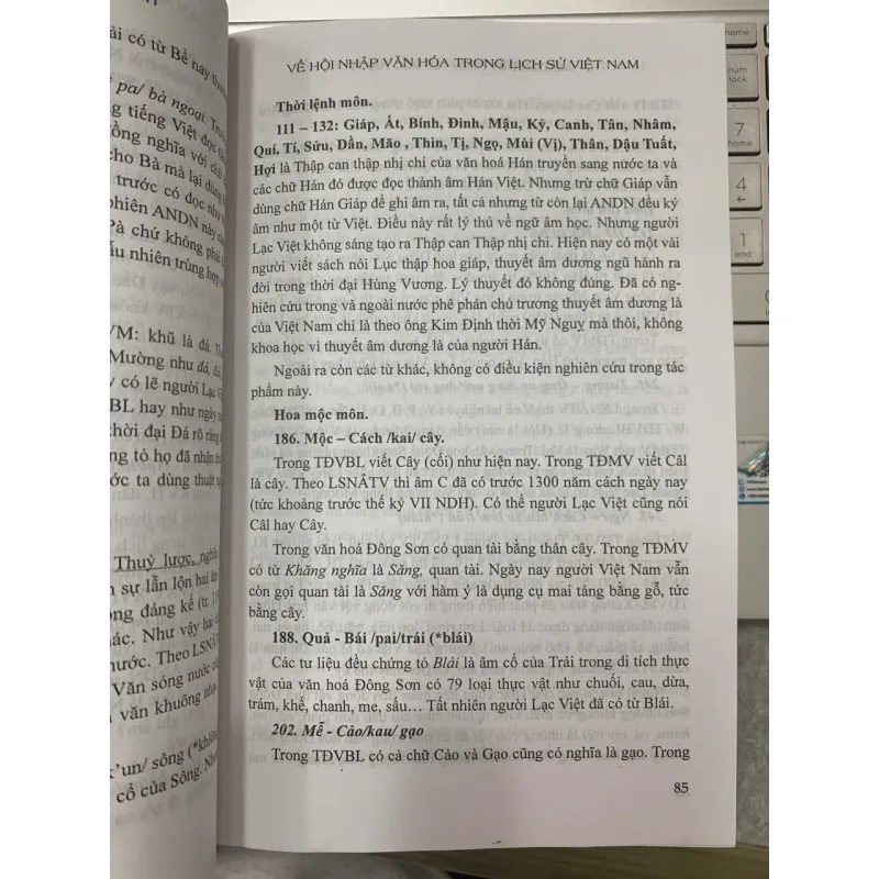 VỀ HỘI NHẬP VĂN HÓA TRONG LỊCH SỬ VIỆT NAM - NGUYỄN DUY HINH & LÊ ĐỨC HẠNH 602726