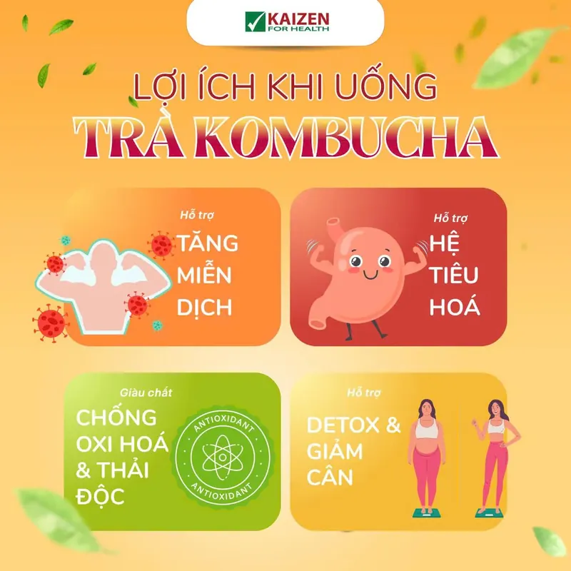 Trà Kombucha đào, Vkaizen ( hộp 10 gọi x5g)  720616