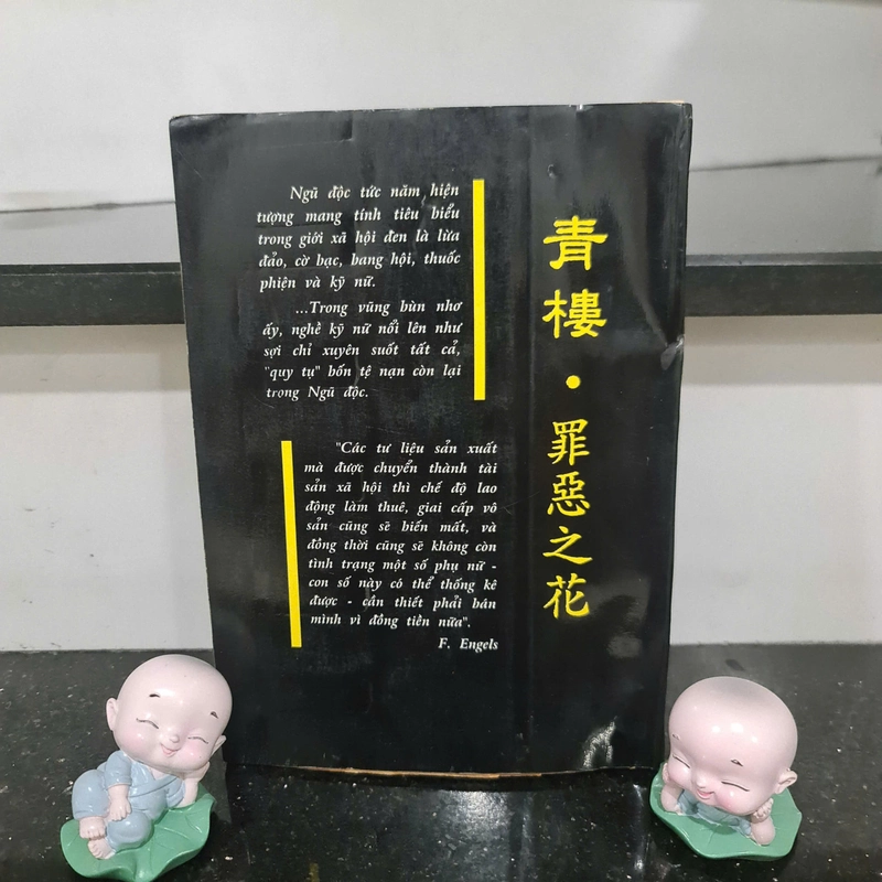 Sách LẦU XANH VÀ TỘI ÁC 485270