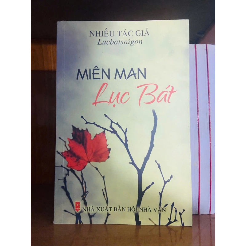 Miên man Lục Bát VĂN HỌC VAVO1301 Rebooks.vn 947850