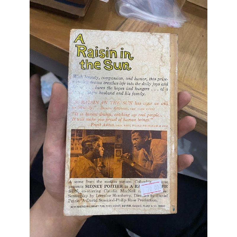 A Raisin in the Sun - Lorraine Hansberry 528009