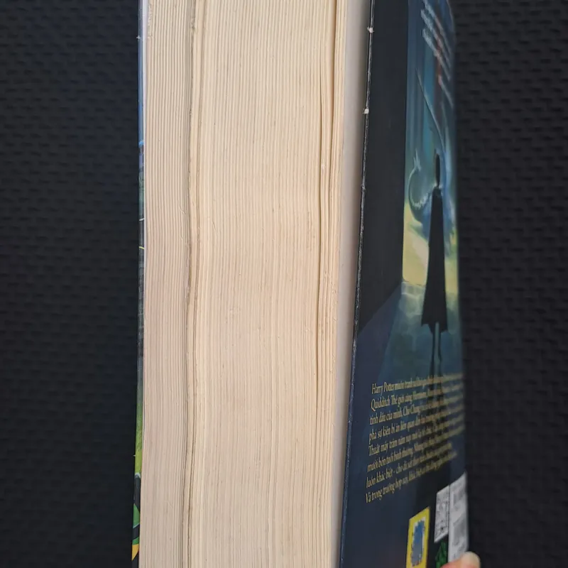 Harry Potter và chiếc cốc lửa (p4) 576396