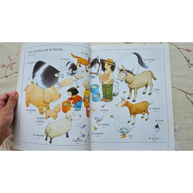 SET TIẾNG PHÁP TỪ VỰNG + THỰC HÀNH 997042