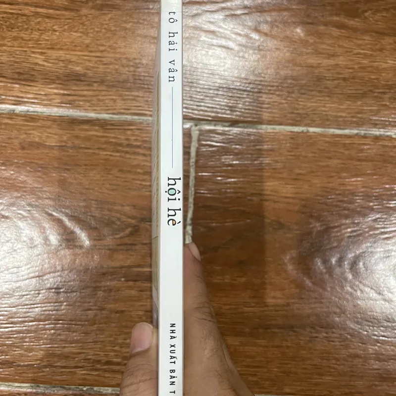 Hội Hè - Tô Hải Vân (6) 576893