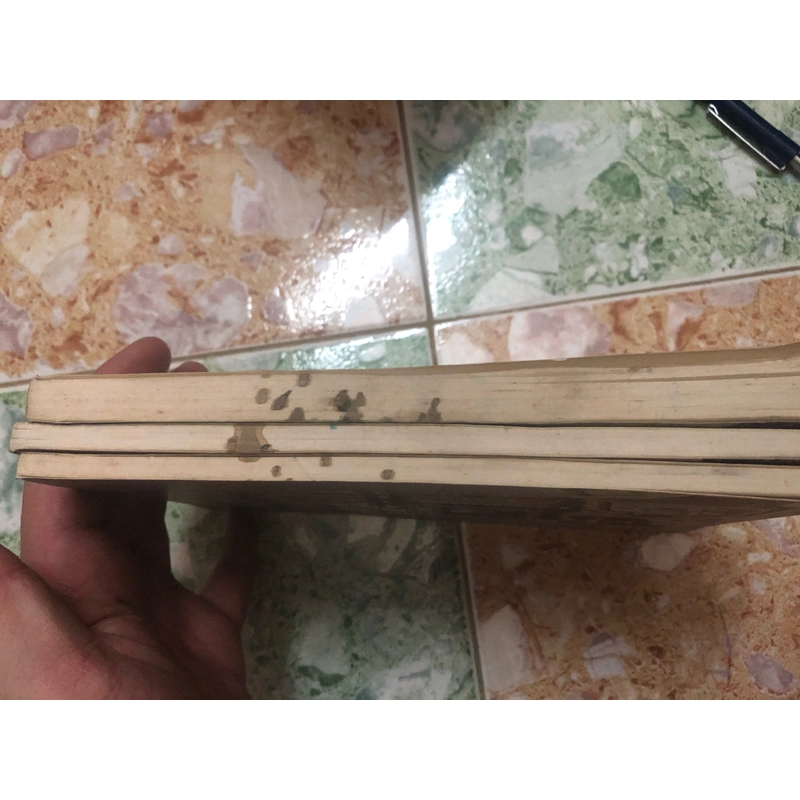 hỏi gì đáp nấp 3 tập 455711