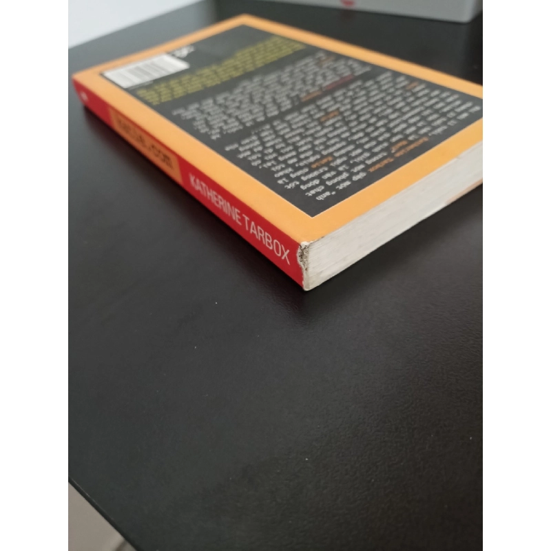 katie.com - Tình Yêu Online Của Một Thiếu Nữ (2006) - Katherine Tarbox Mới 90% HCM.ASB0103 913507