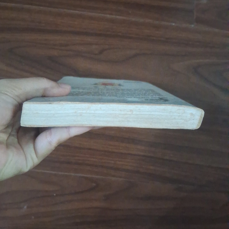 Vương quốc ảo 507998