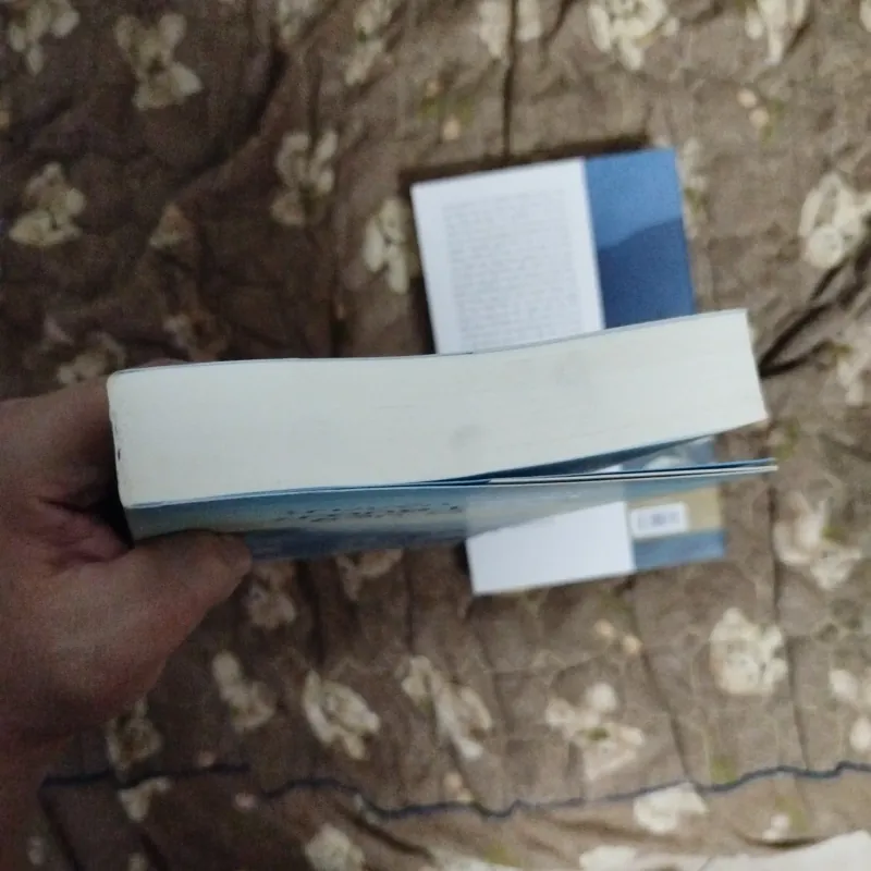 Combo Truyện ngắn trong lòng bàn tay + Truyện ngắn Kawabata Yasunari 780256