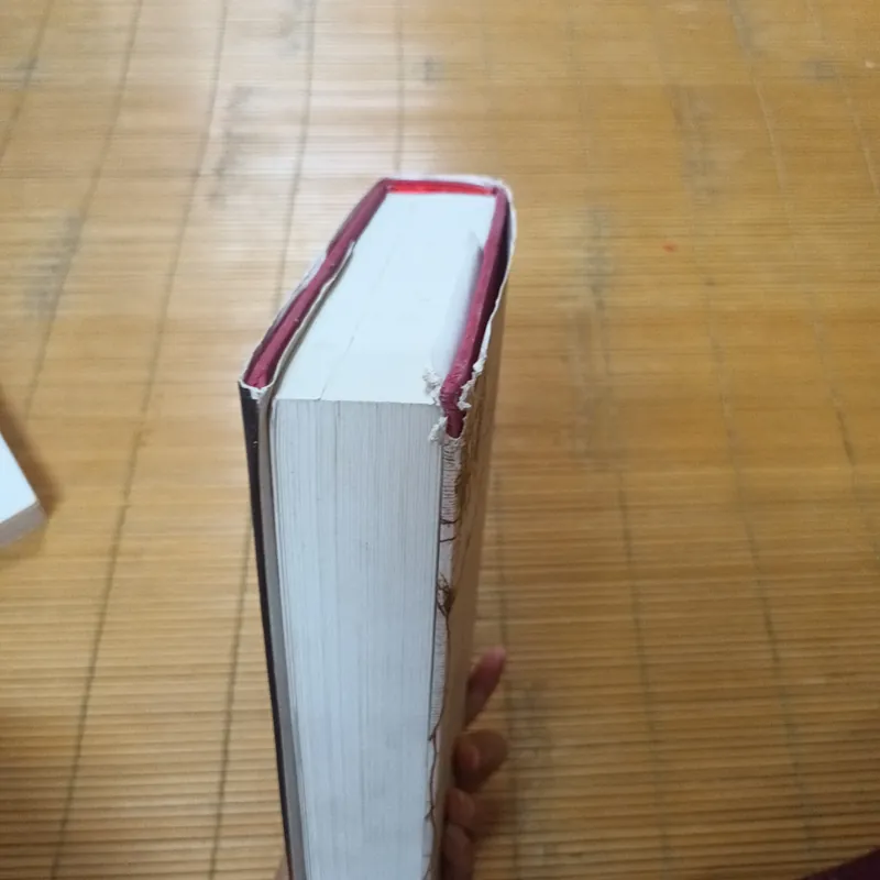 LEONARDO DE VINCI - WALTER ISAACSON 726537