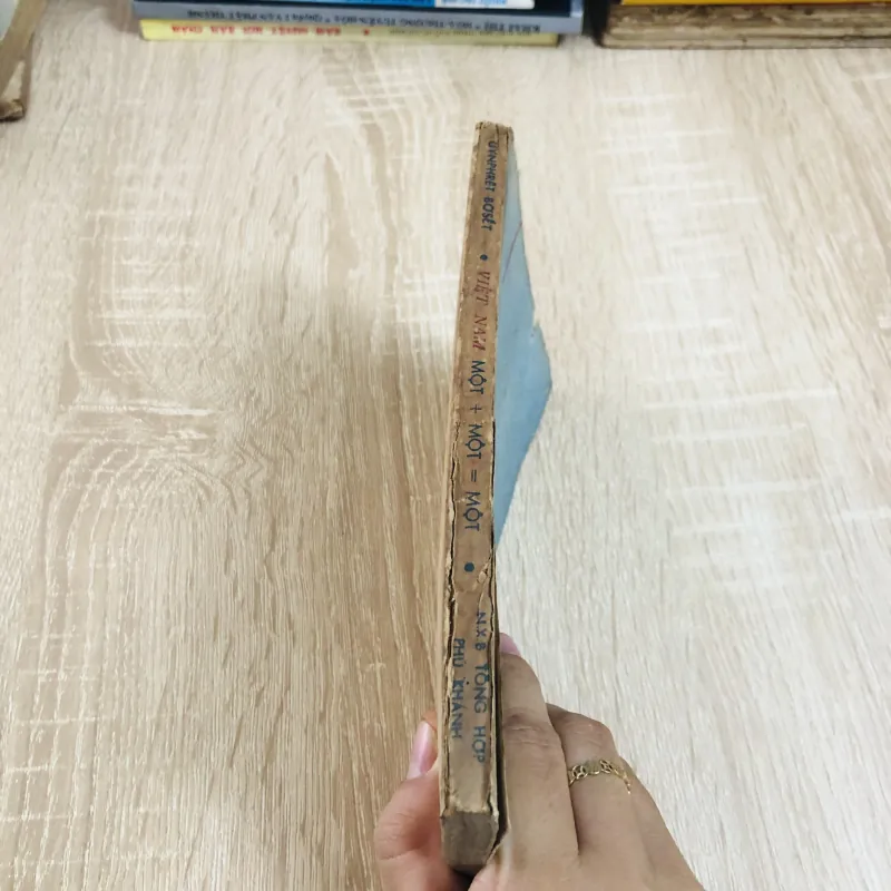 VIỆT NAM – MỘT + MỘT = MỘT – Wunphrit Bôset 928948