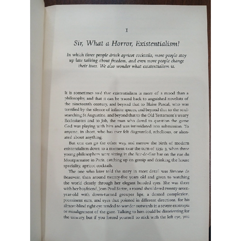 At the Existentialist Café: Freedom, Being & Apricot Cocktails – Sarah Bakewell 551955
