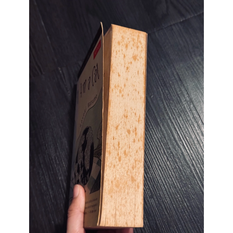 I am a cat - Natsume Soseki 471556