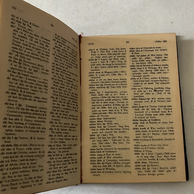 Từ điển Việt - Anh 503211