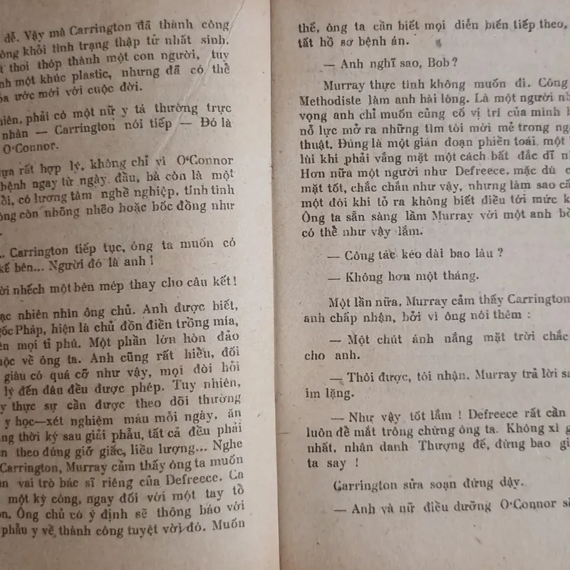 Khách lạ ở Thiên Đường 🌻 575473