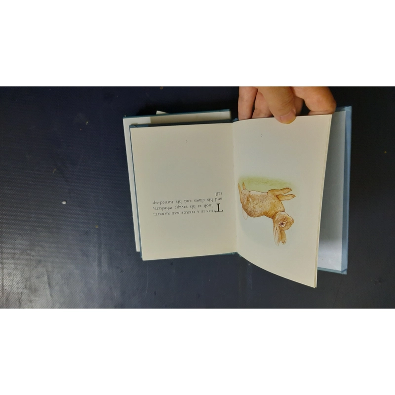 Peter rabbit - Beatrix potter collection khổ bé 498911