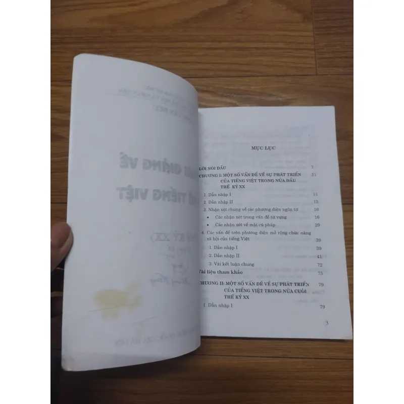 Sách: Các bài giảng về lịch sử Tiếng Việt (Thế kỷ XX) - TG: Đinh Văn Đức 728894