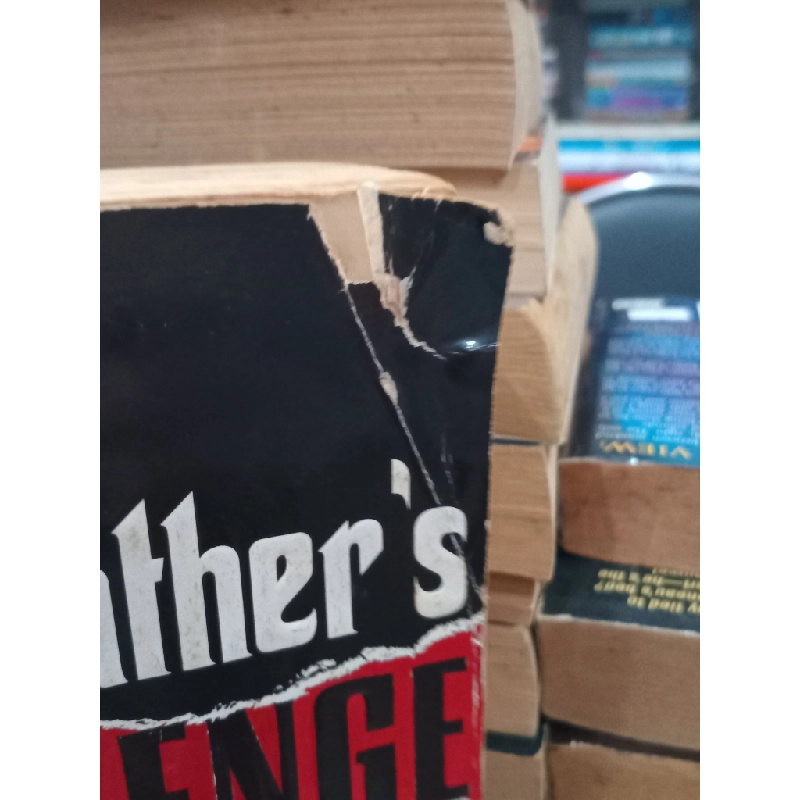 The Godfather's Revenge - Mario Puzo 504042