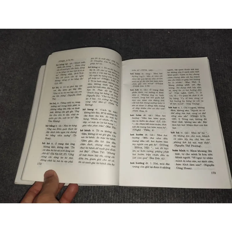 TỪ ĐIỂN TỪ LÁY TIẾNG VIỆT 991104