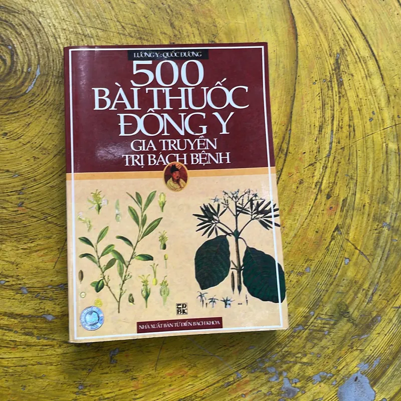 500 BÀI THUỐC ĐÔNG Y GIA TRUYỀN TRỊ BÁCH BỆNH- LƯƠNG Y QUỐC DƯƠNG 605146
