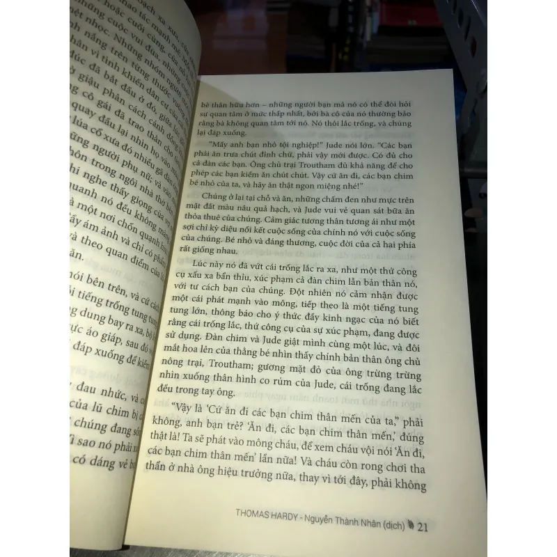 Jude Kẻ Vô Danh - Thomas Hardy 974262