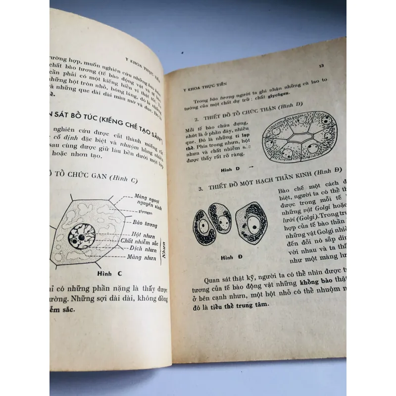 🌿 ẤP XE PHỔI (Bs. Lương Phán & Nguyễn Thị Lợi) 60 trang, NXB 1973 702001