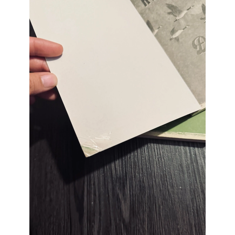 Combo 3 tác phẩm E. Remarque (sách mất áo) 447116
