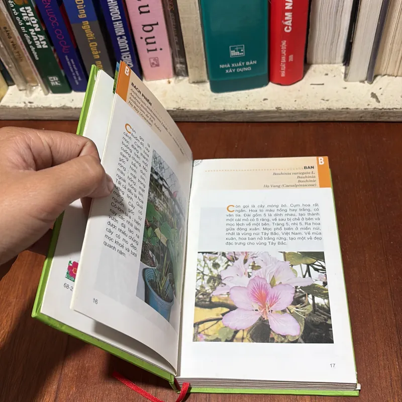 II Cây Cảnh: Từ Điển Tranh Về Các Loài Hoa - Lê Quang Long - 2006 755406