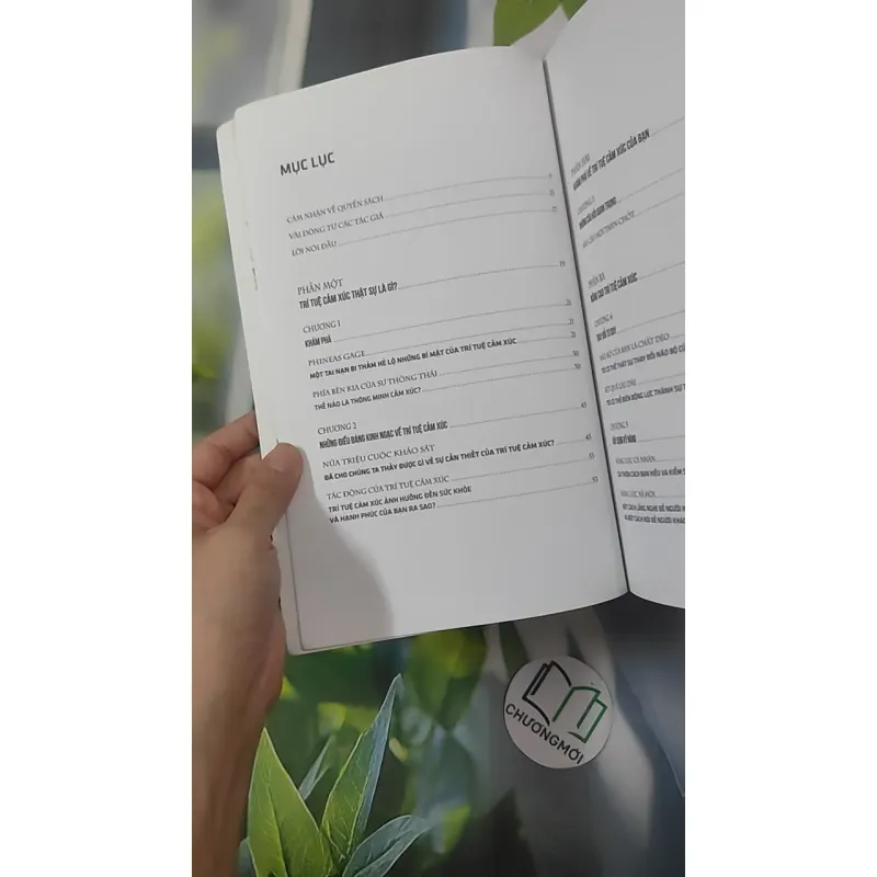 Thông Minh Cảm Xúc - Travis Bradberry & Jean Greaves 1018949