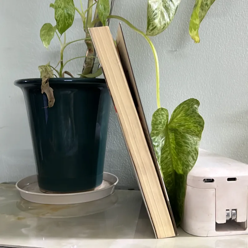 Tự truyện Trần Văn Khuê 746428