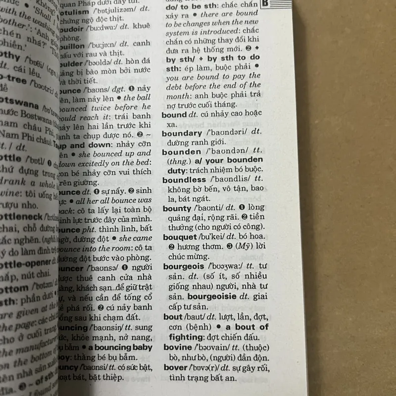 Từ điển Anh Việt 1010351