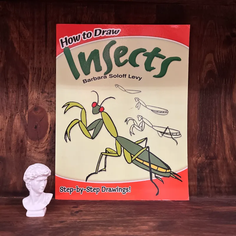 ✨𝑯𝒐𝒘 𝒕𝒐 𝑫𝒓𝒂𝒘 𝑰𝒏𝒔𝒆𝒄𝒕𝒔: 𝑺𝒕𝒆𝒑-𝒃𝒚-𝑺𝒕𝒆𝒑 𝑫𝒓𝒂𝒘𝒊𝒏𝒈𝒔!✨ 712564