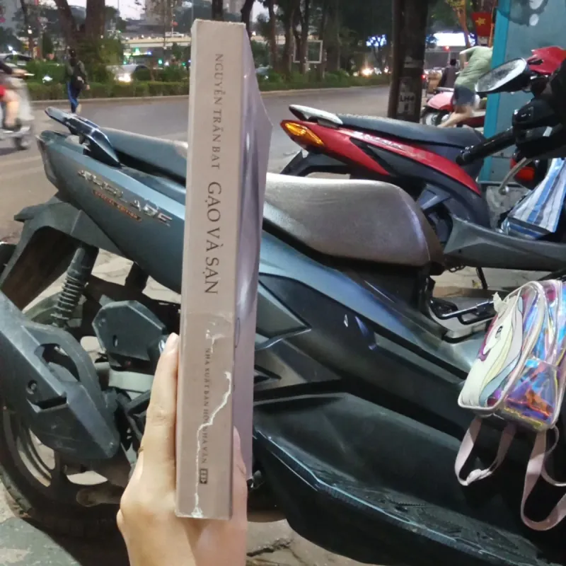 Gạo Và Sạn - Nguyễn Trần Bạt  991992