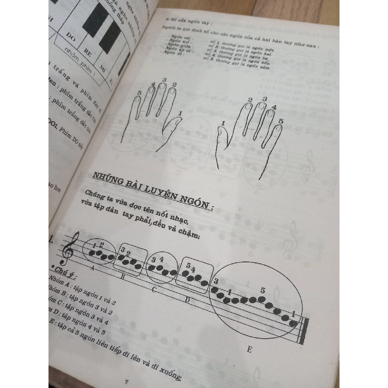 Organ keyboard-Những bước khởi đầu 559060