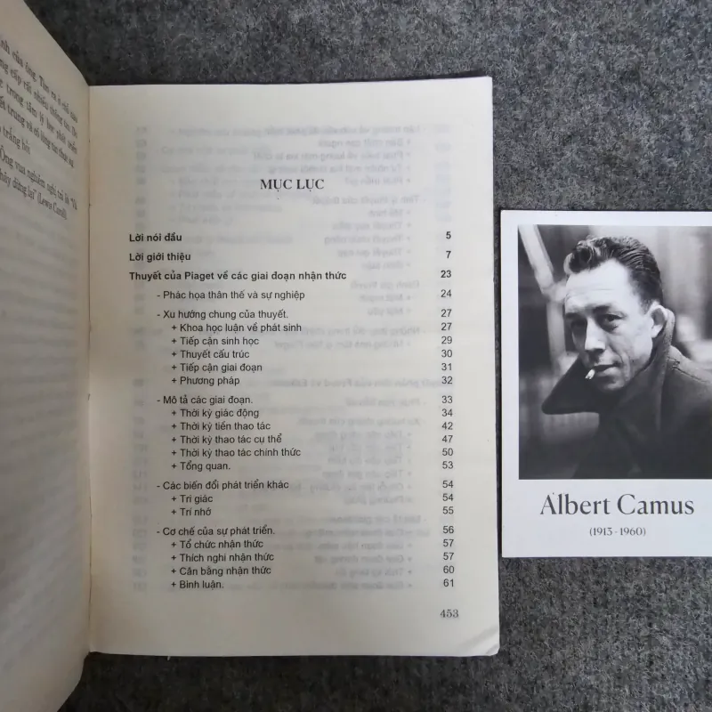 Các thuyết về tâm lý học phát triển - patricia h.miler 1045310