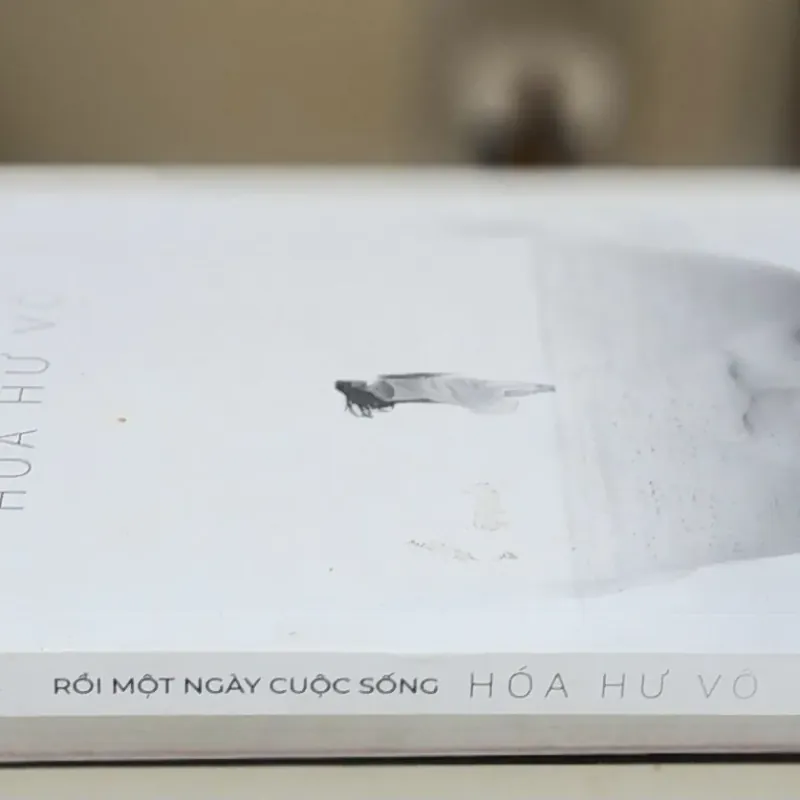 RỒI MỘT NGÀY CUỘC SỐNG HÓA HƯ VÔ (Hideko Suzuki) - 196 trang 746658