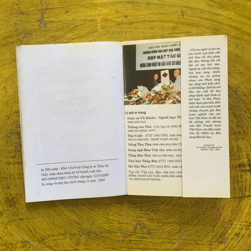 VIỆT NAM THƯ PHÁP NGỮ HÌNH - VŨ THỊ PHIM 1009215