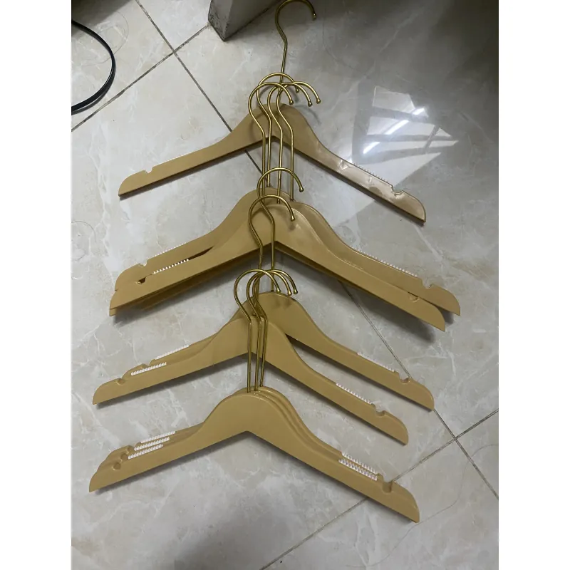 10 mócquần áo nhựa 1023315