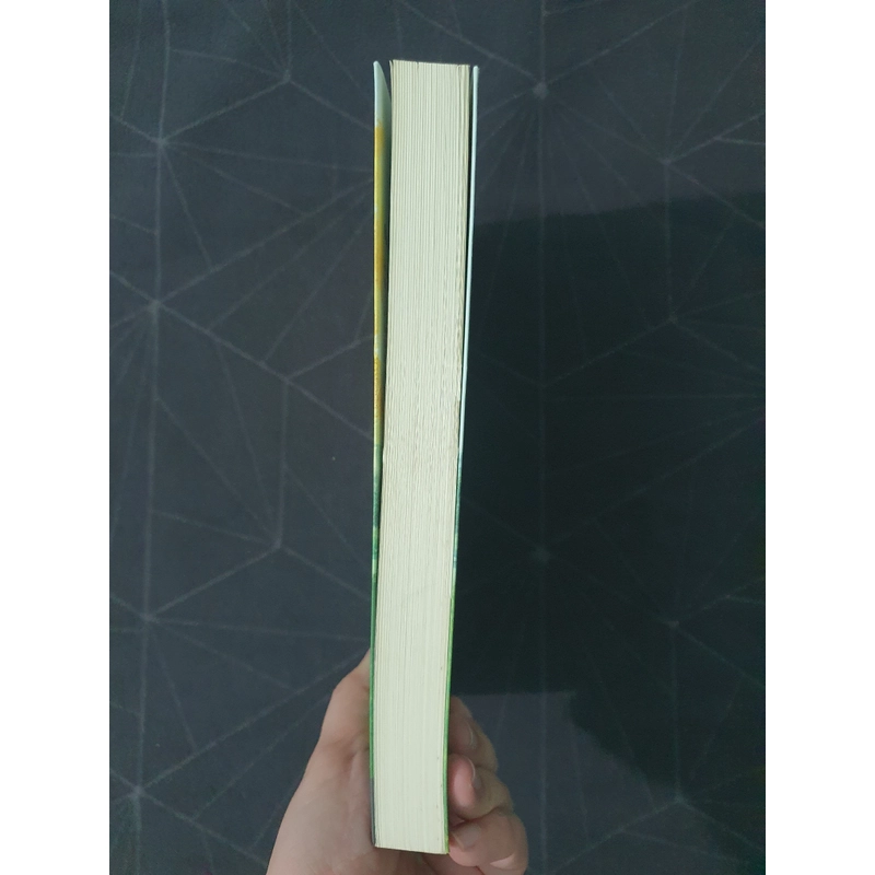 "Kinh niên lưu ảnh" - Như Thị Phi Nghênh 470406