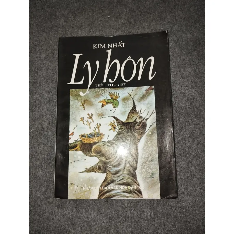 LY HÔN - KIM NHẤT 588799