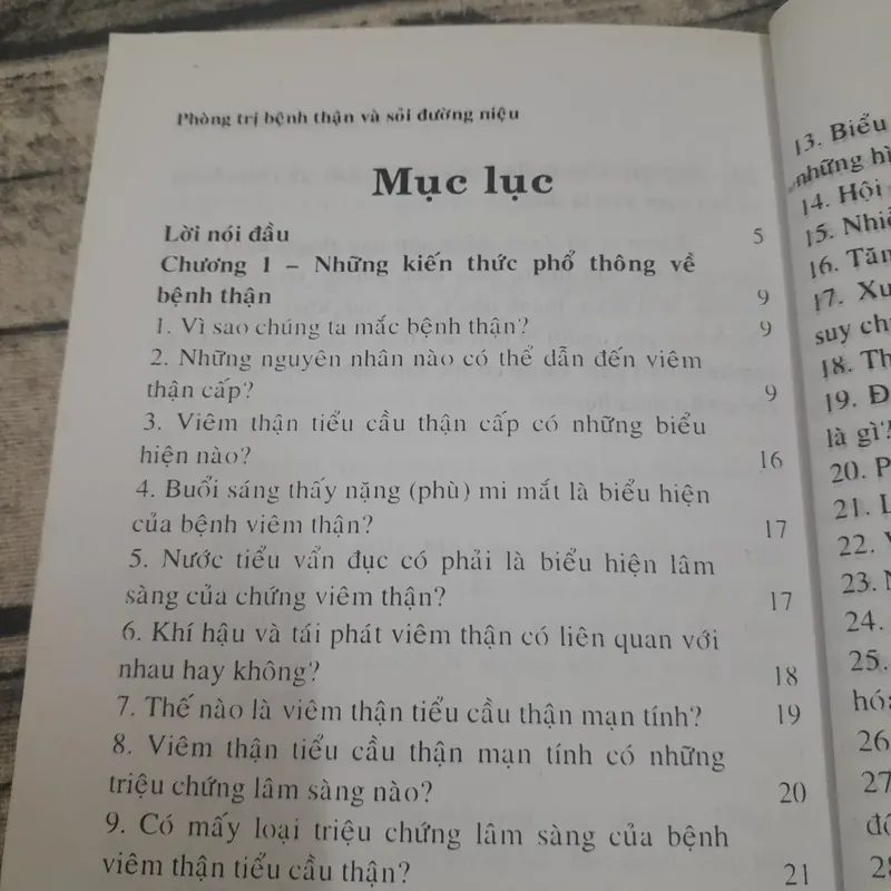 Phòng trị bệnh Thận và Sỏi đường niệu. Ng tác Niệu kết thạch phòng trị. Lưu Phương Minh  693707