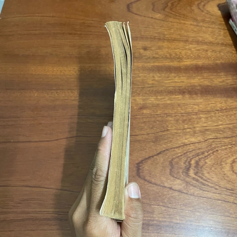 II Sách xưa: Lịch Sử Việt Nam _ Trước Thế Kỷ VI (Quyển 1, Tập 1) - Trương Hữu Quýnh - 1976 493035